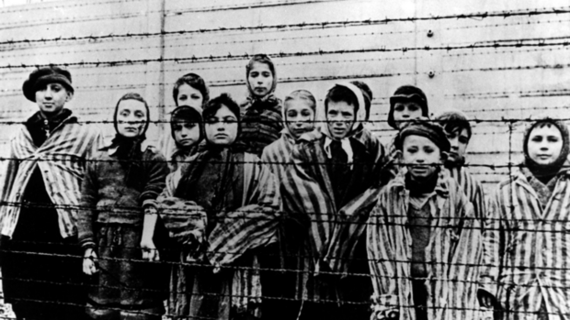 Immagine di La Shoah di Nico Kamp: «La vita è la mia rivincita»