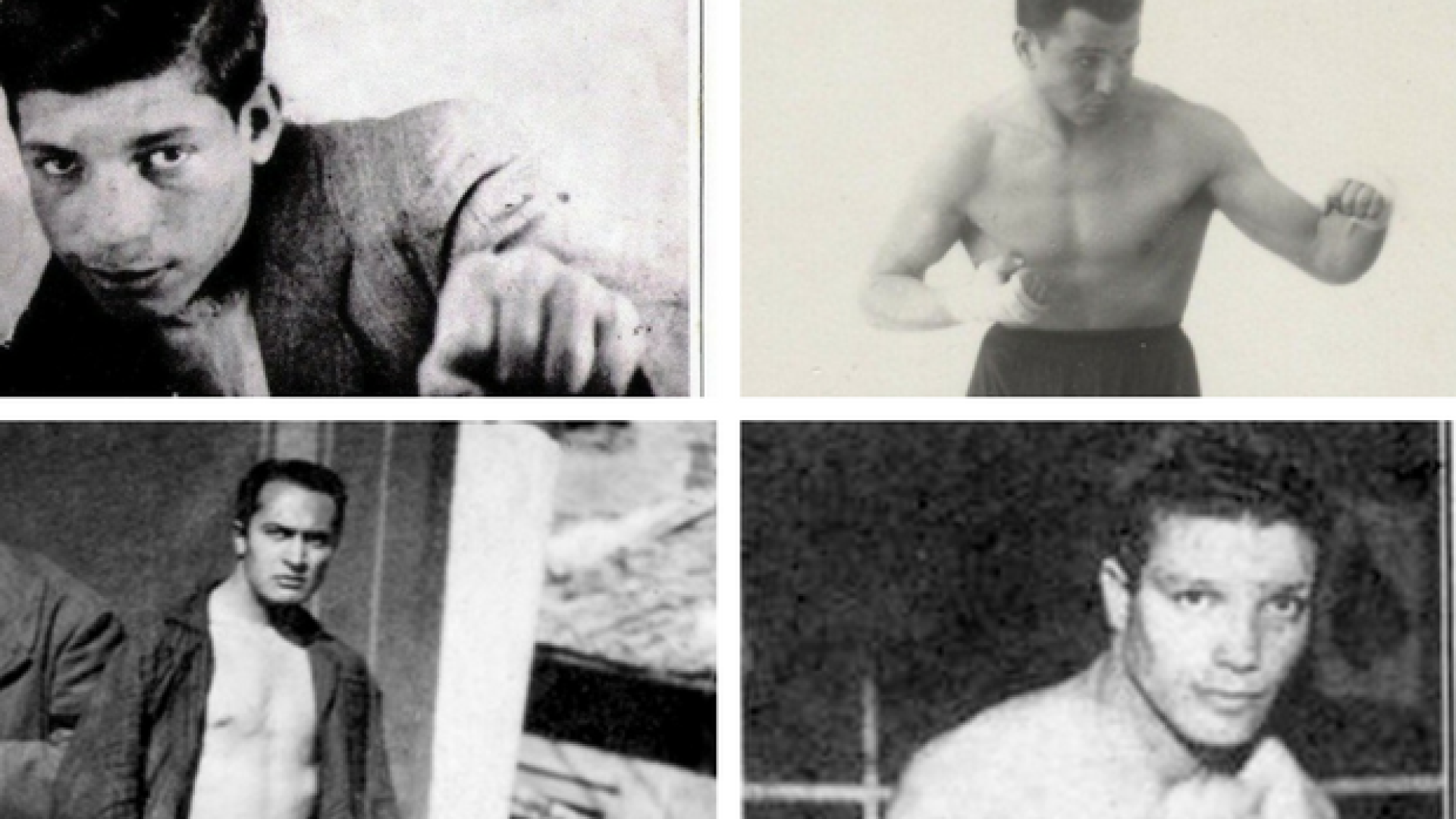 Immagine di 4 storie di pugili sommersi e salvati dalla follia nazifascista