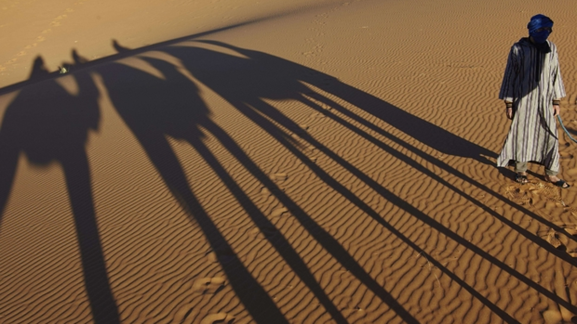 Immagine di Perché il futuro dell'Africa ha il Marocco come crocevia