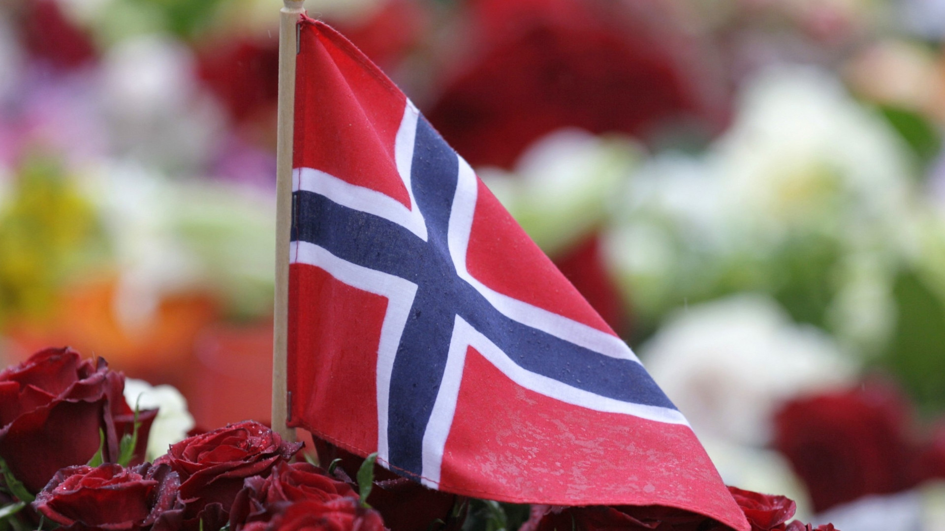 Immagine di Norvegia, croce vietata a conduttrice del tg: «Non è imparziale»