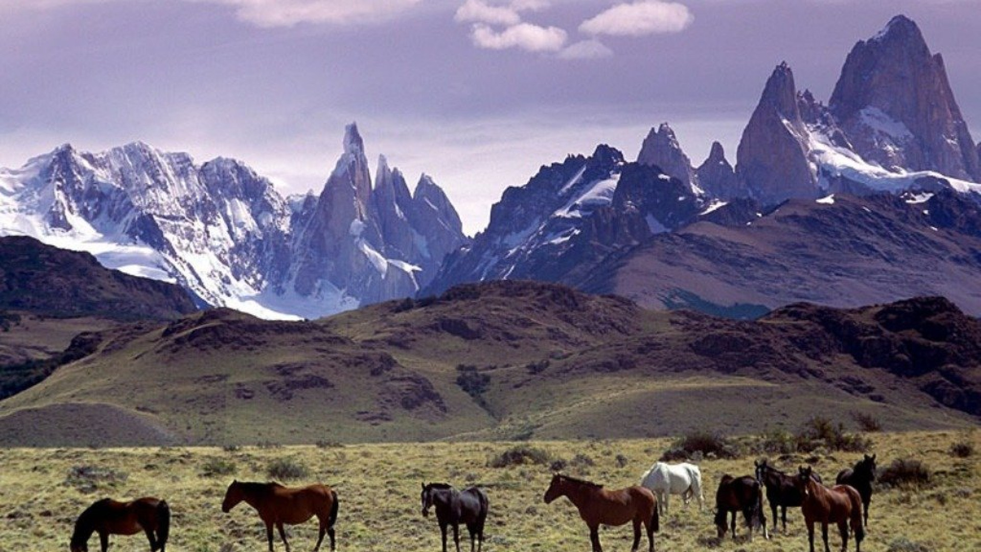 Immagine di Regala migliaia di ettari di terra per creare un parco naturale in Patagonia