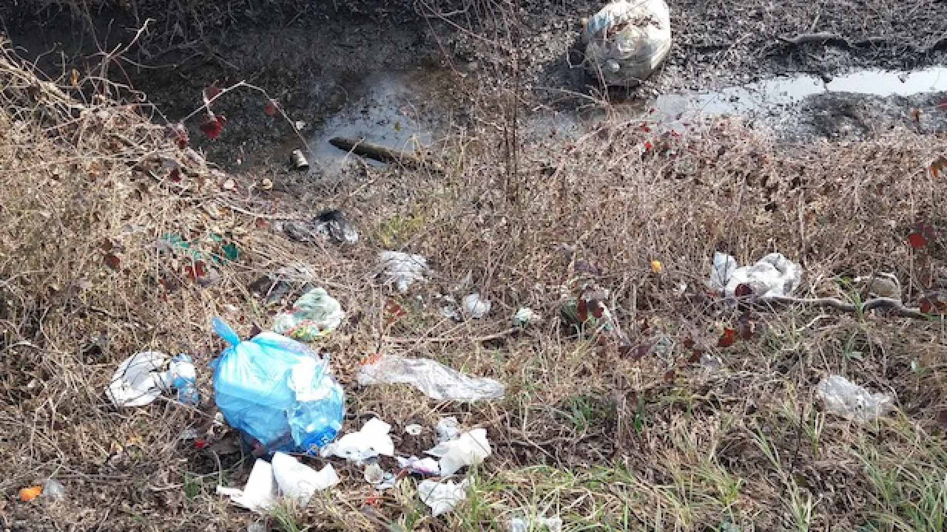Immagine di Nessuna indulgenza verso chi abbandona i rifiuti ed inquina l'ambiente