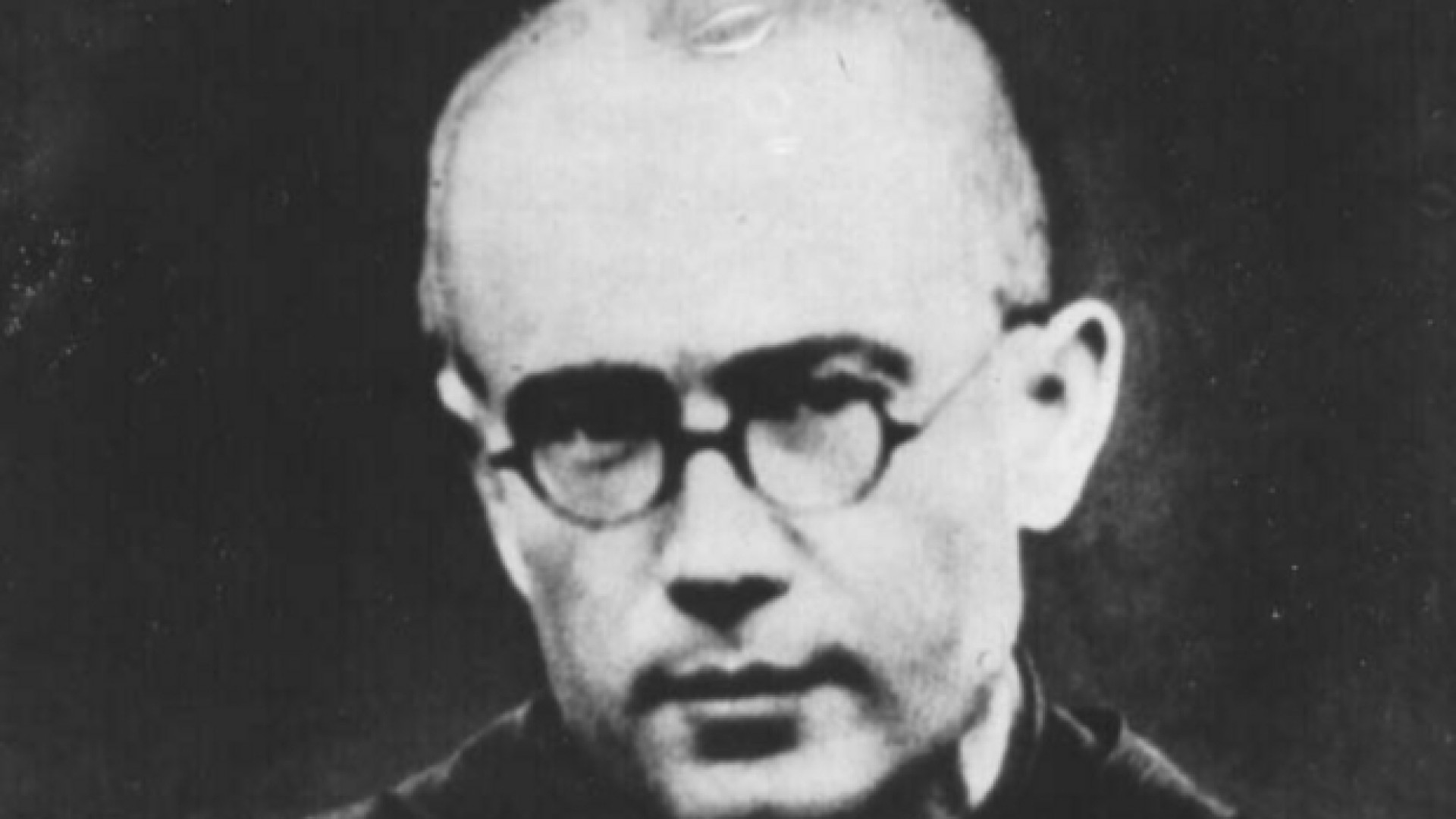 Immagine di Da padre Kolbe a Edith Stein, i «martiri» del Führer
