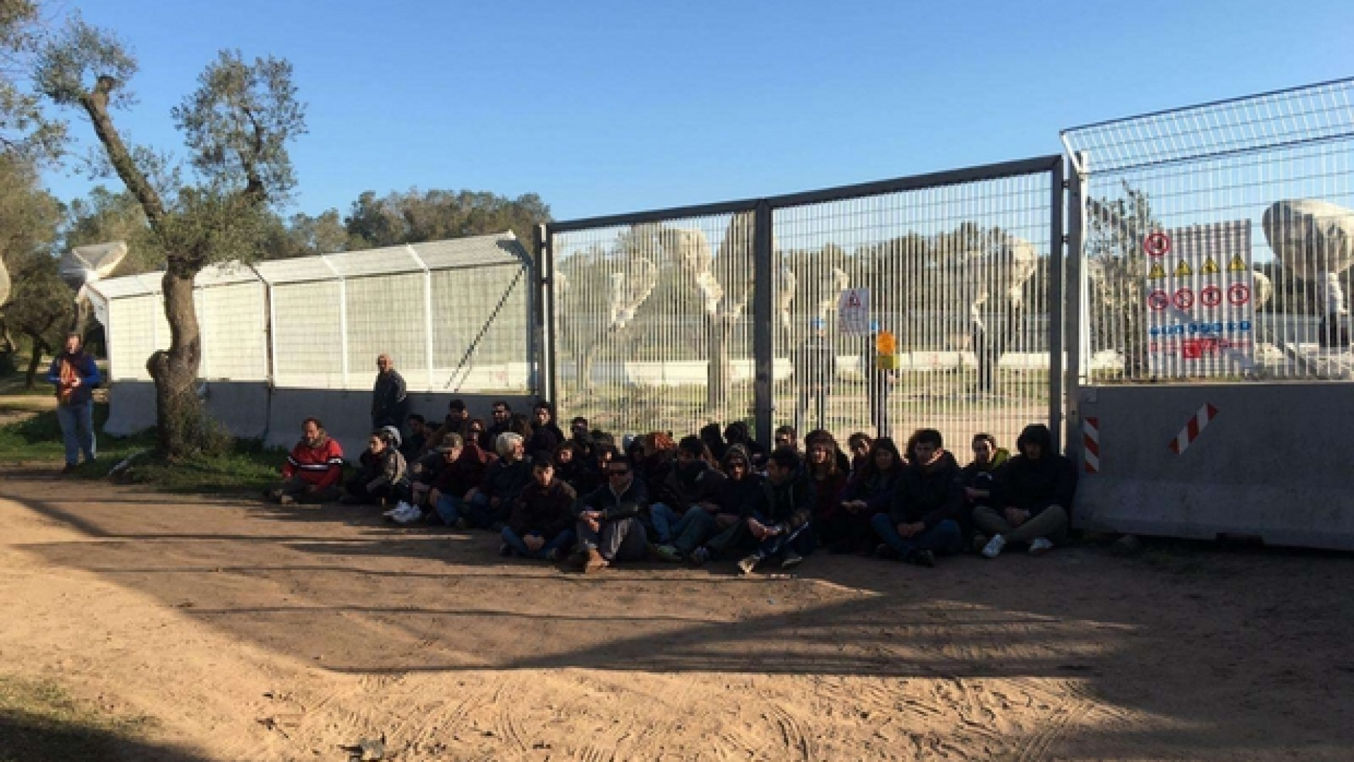 Immagine di Ulivi espiantati, ancora scontri tra polizia e manifestanti