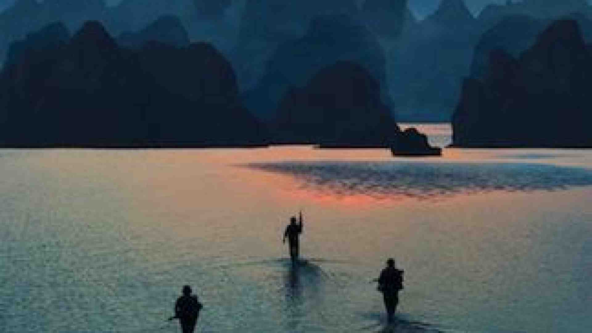 Immagine di Un soddisfacente B-movie di King Kong