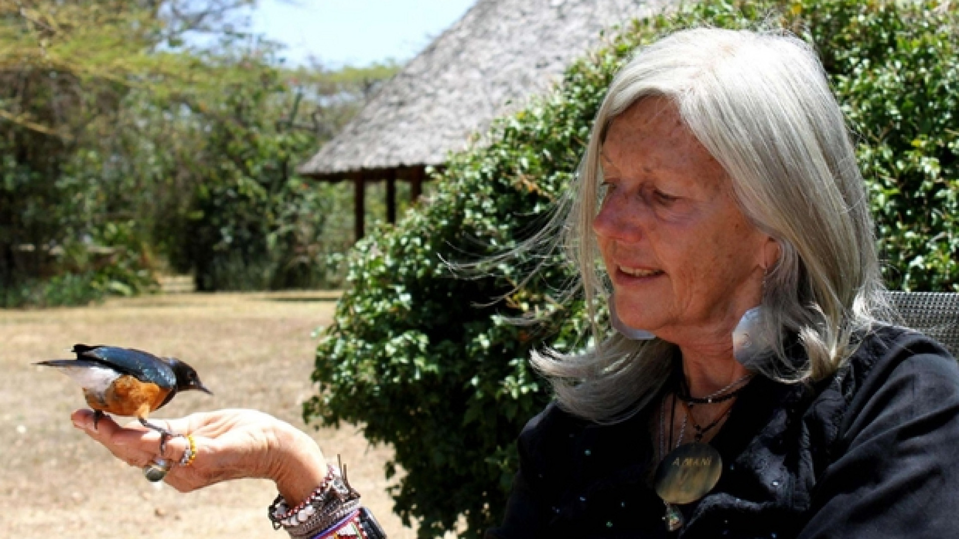 Immagine di Grave in Kenya la scrittrice ambientalista italiana Kuki Gallmann