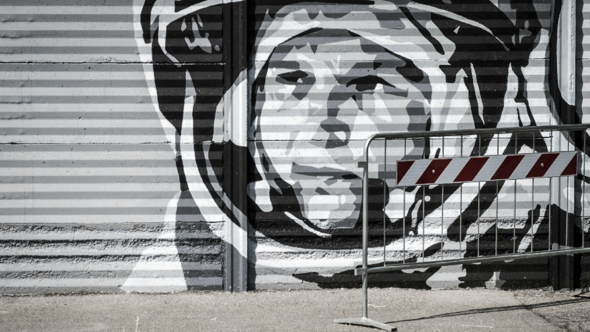 Immagine di Un muro per viaggiare l’arte di strada riaccende le periferie