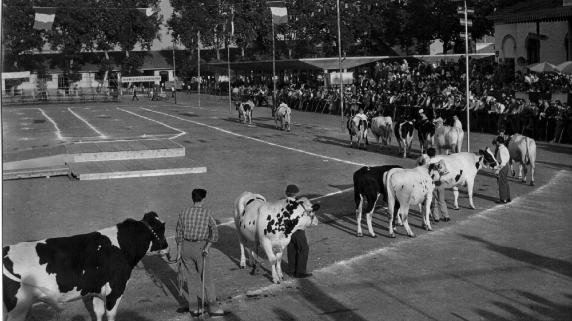 Immagine di I settant’anni della Fiera di Cremona