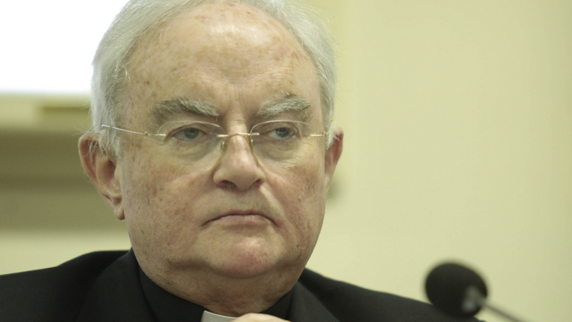 Immagine di Hoser: «A Medjugorje sono tanti i frutti spirituali»