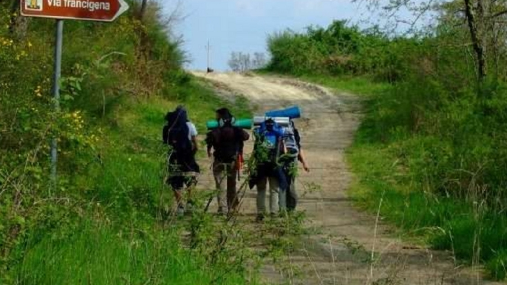 Immagine di Il messaggio per la giornata: «Viaggiatori sulla terra di Dio»