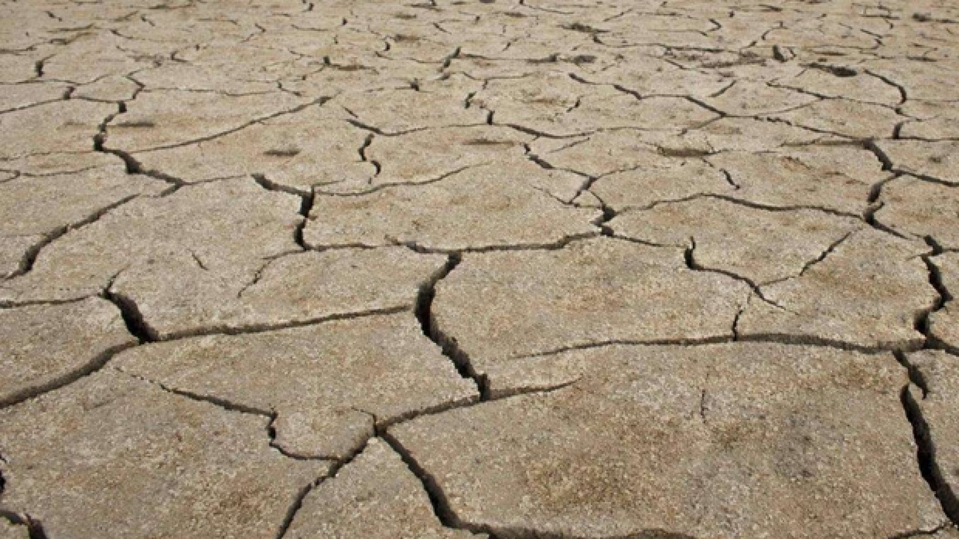 Immagine di Crisi e profughi la contesa sull'acqua presenta il conto