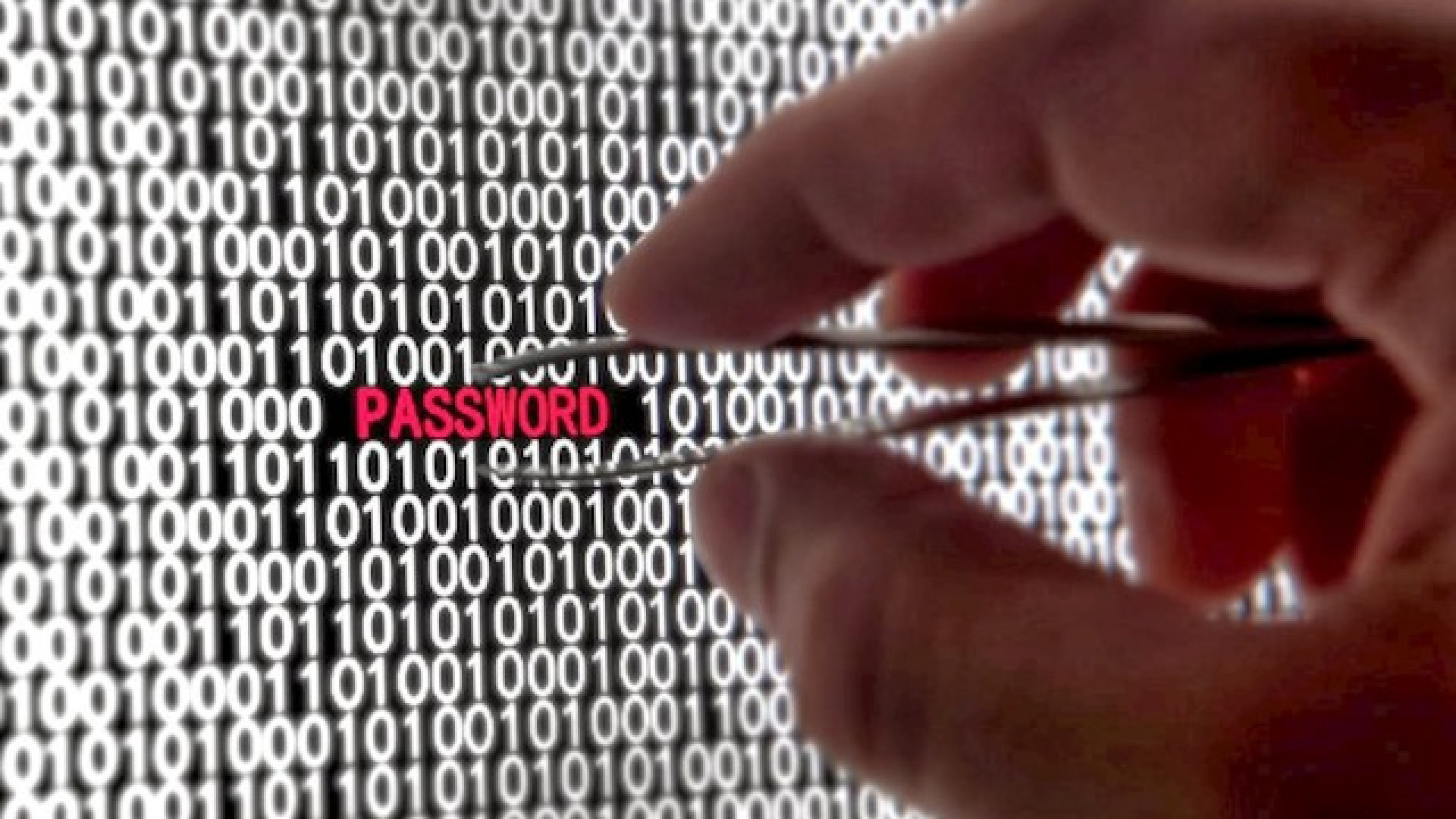 Immagine di Allarme cybercrime, quanto rischiamo davvero?
