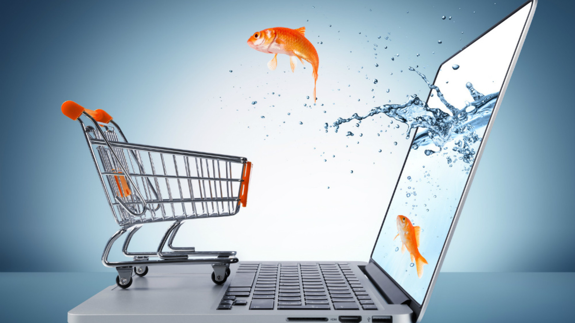 Immagine di Shopping online, un clic per tutti i gusti (o quasi)