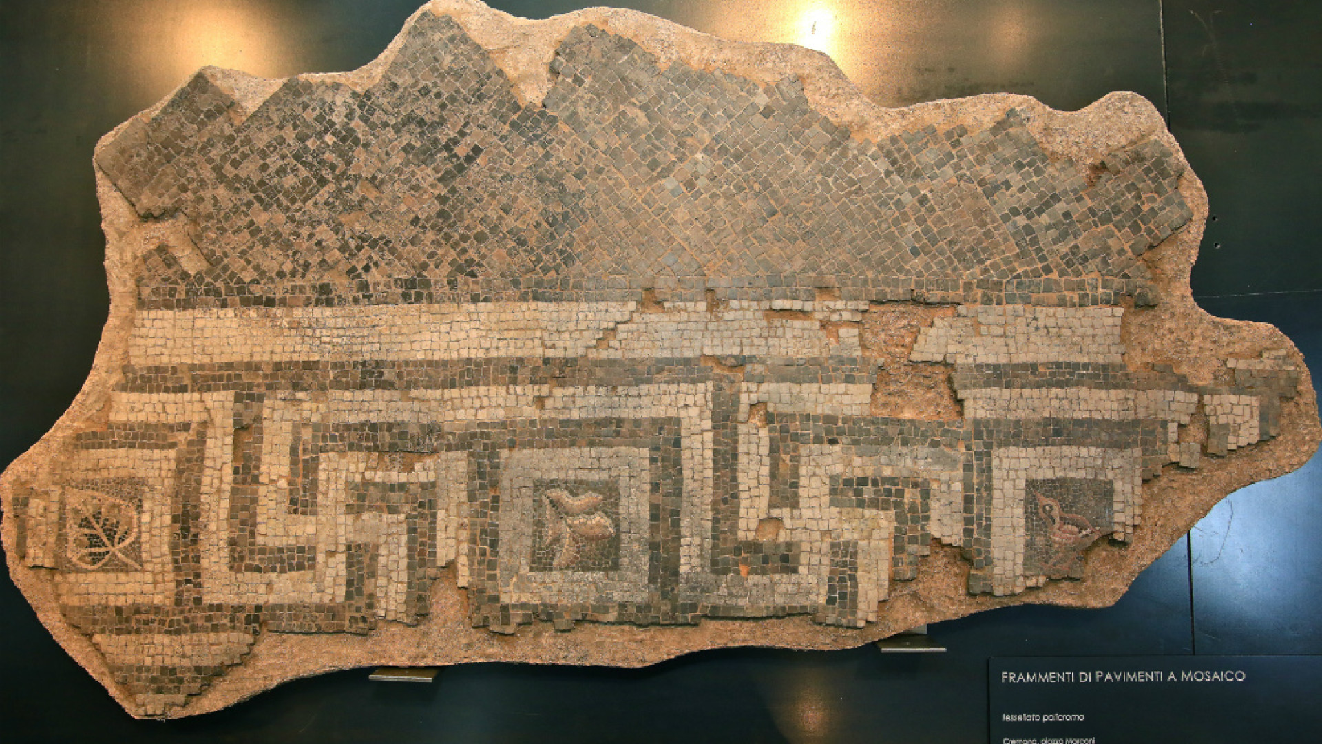 Immagine di L’uccellino ritrovato tra le tessere del mosaico
