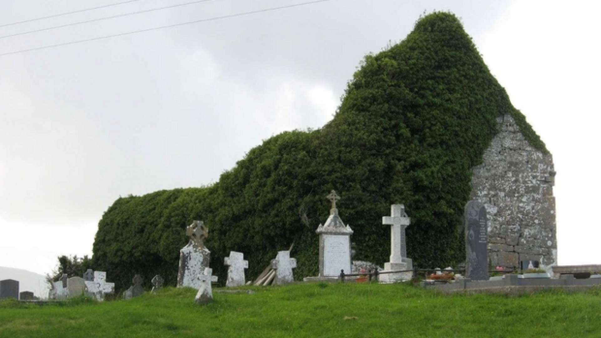 Immagine di Harpur: «La poesia? Sacra come la preghiera»