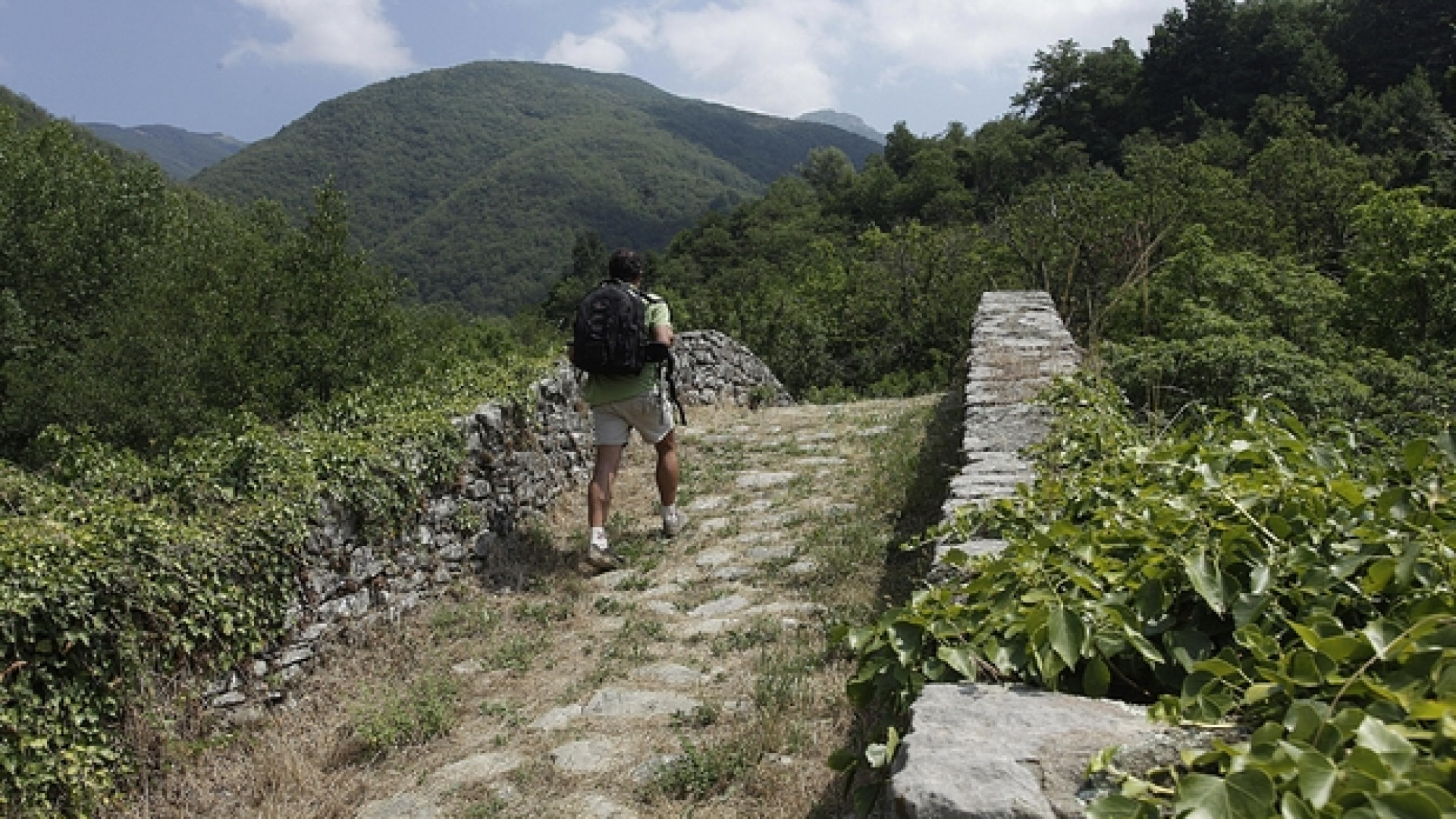 Immagine di Il viaggio, sintesi di vita cristiana