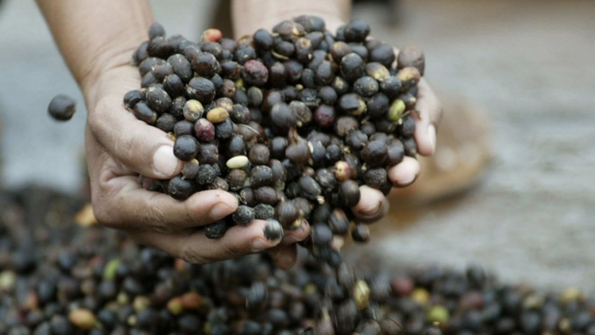 Immagine di La napoletana Kimbo punta alla Lombardia e all'export