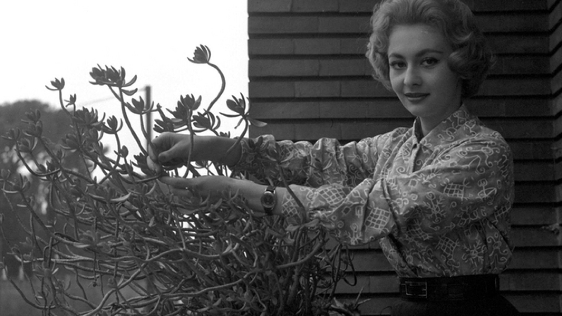 Immagine di Addio ad Anna Maria Gambineri, storica «signorina buonasera»