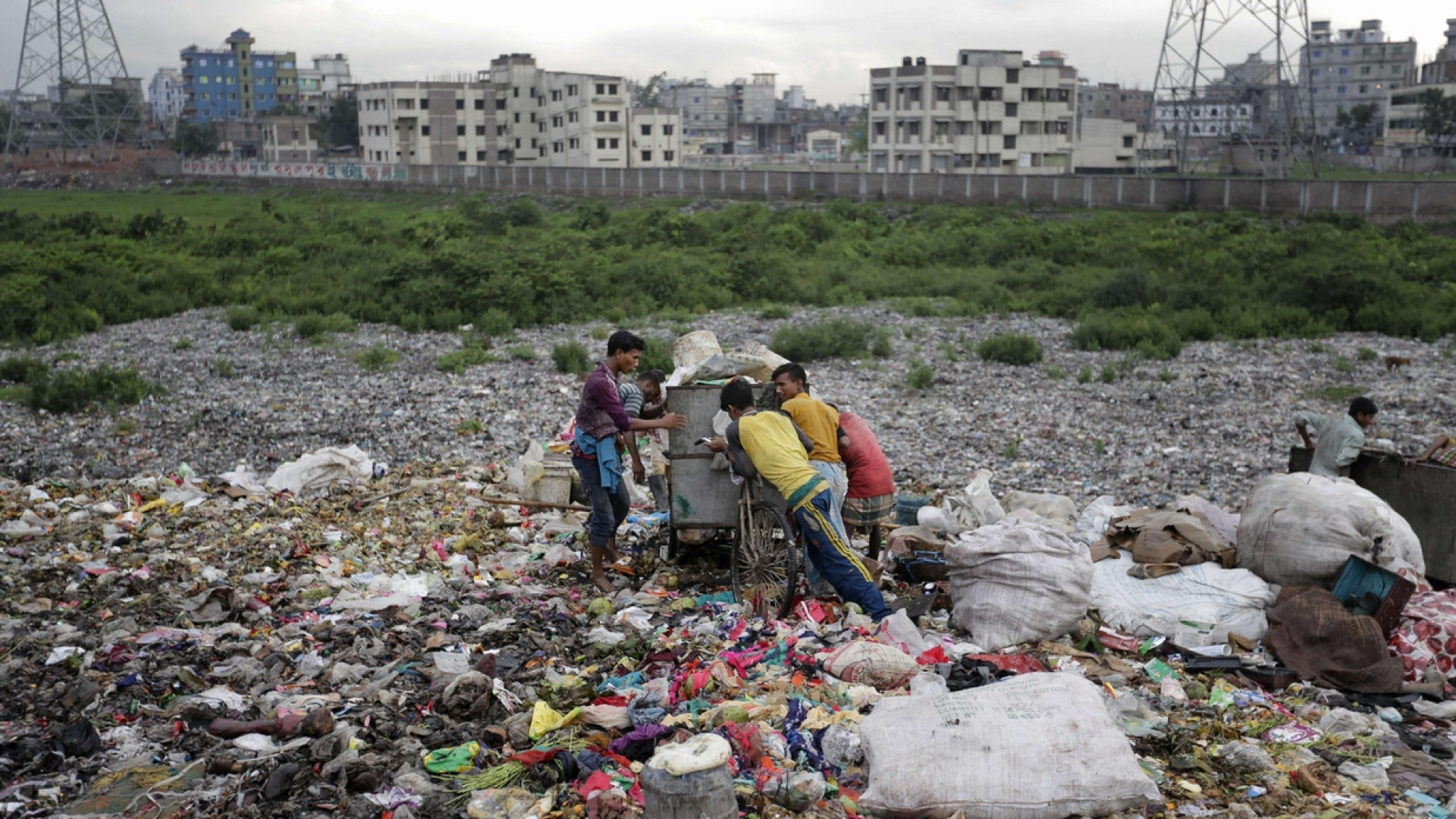 Immagine di Ambiente, «la svolta non sarà fermata dalla scelta di Trump»