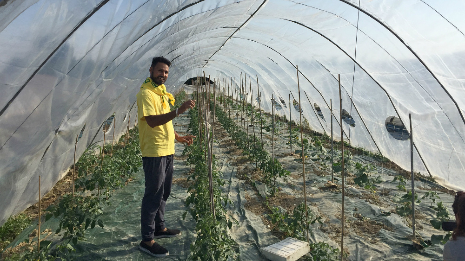 Immagine di Oscar Green, Cremona vince nella categoria Agri You