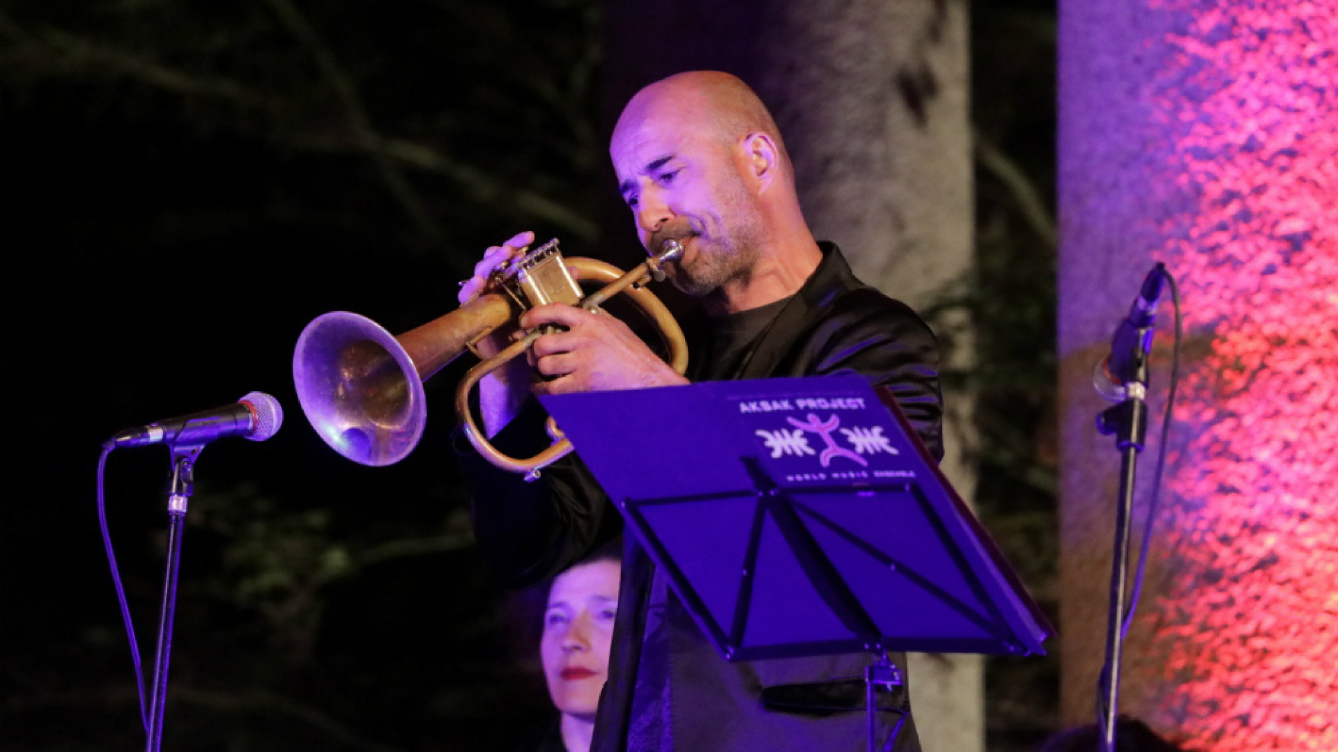 Immagine di Satta e i magnifici tredici serata jazz a Genivolta