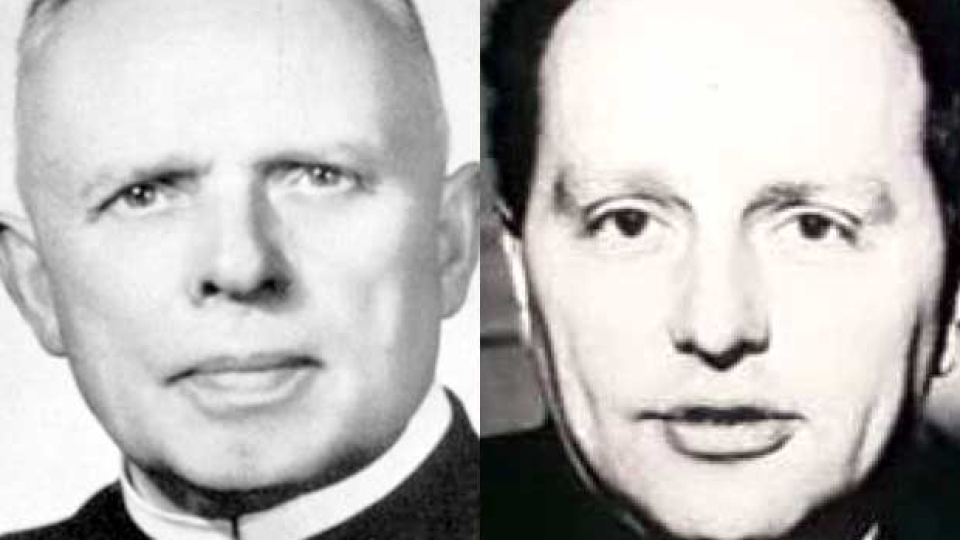 Immagine di Testimoni del Vangelo di pace