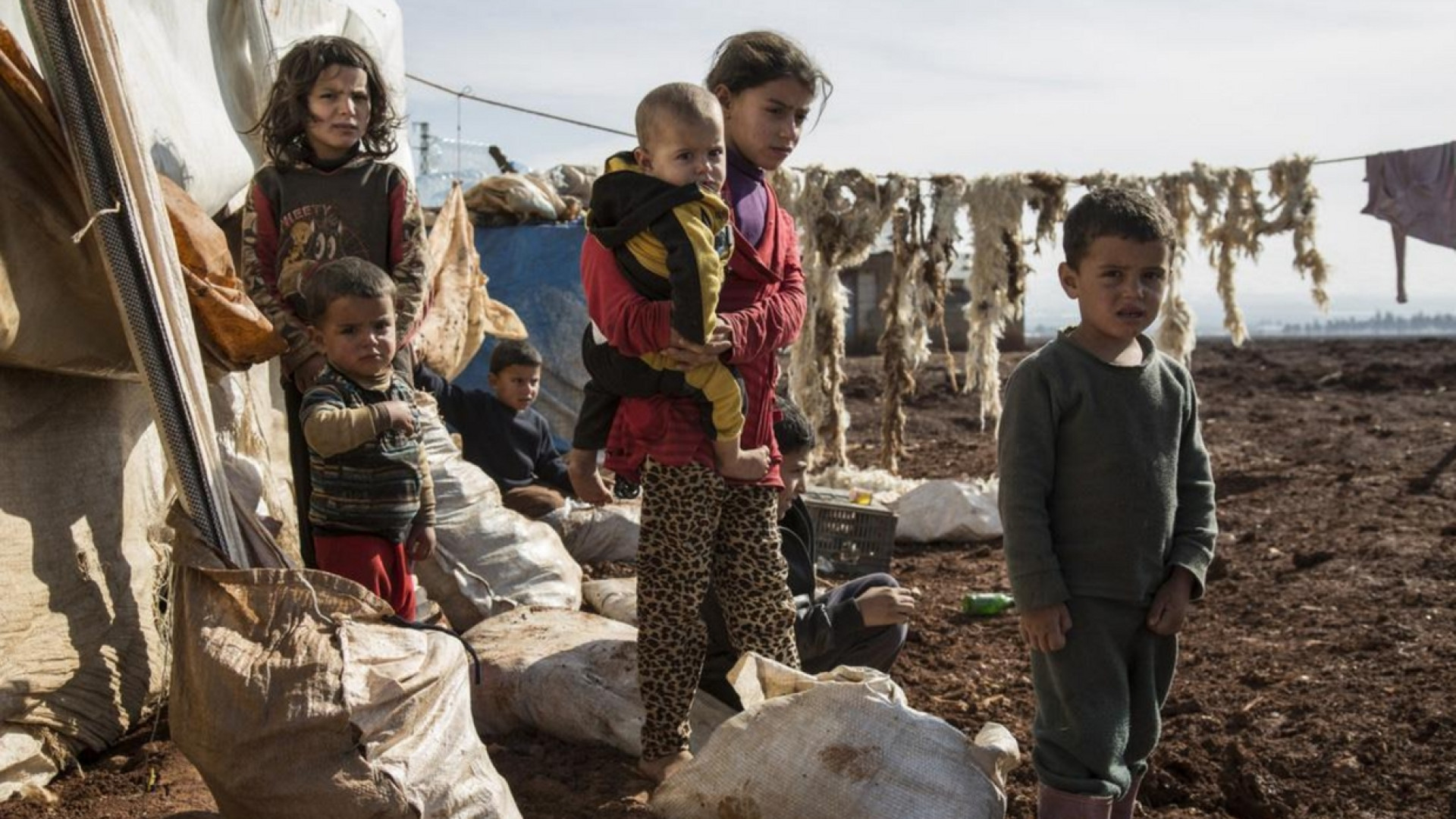 Immagine di Una persona su 113 sfollata per guerra e violenze
