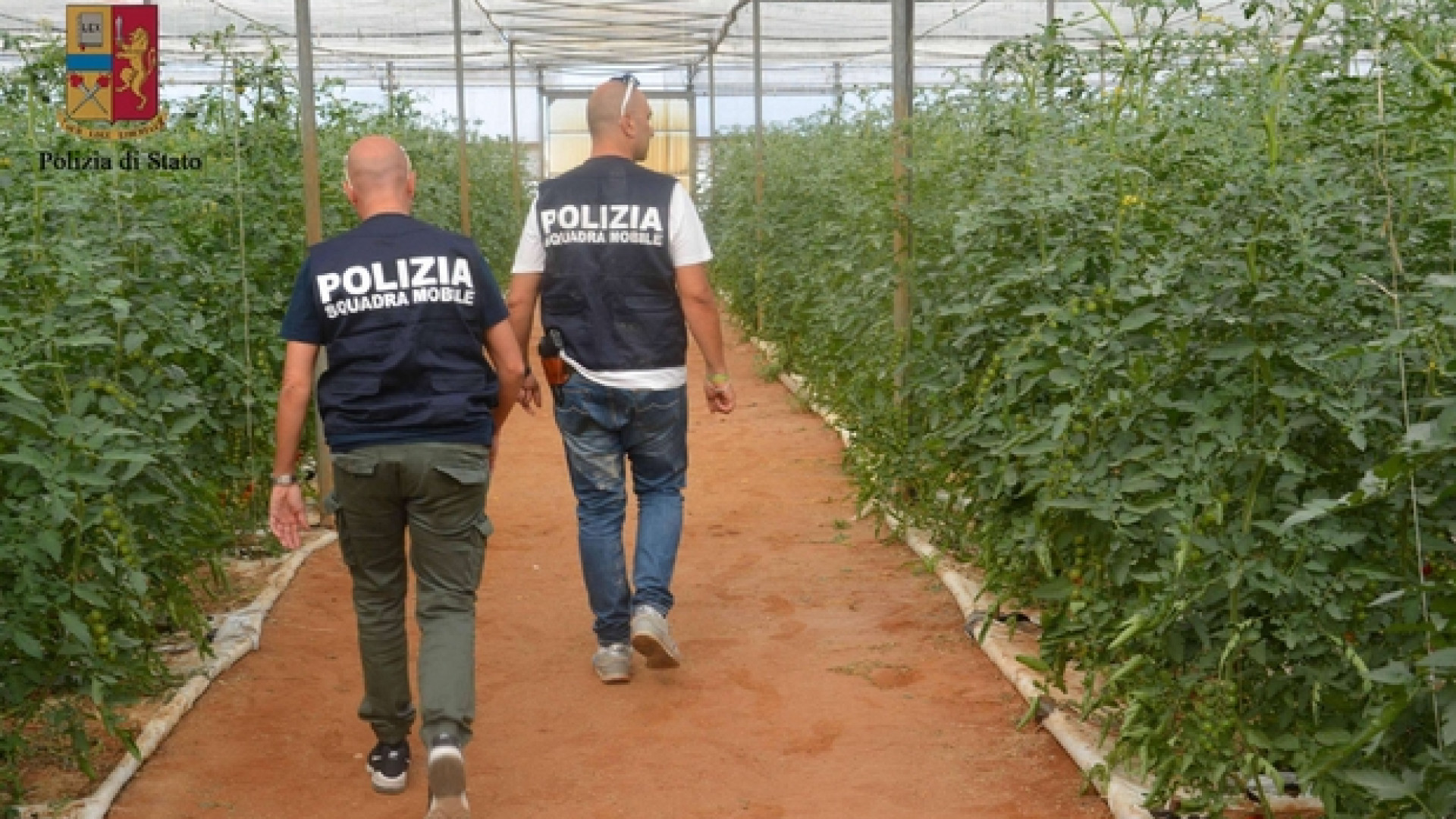 Immagine di Richiedenti asilo sfruttati come braccianti. Due arresti a Ragusa