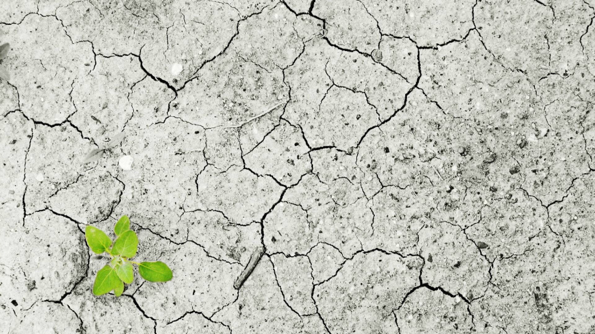 Immagine di Clima impazzito...  Come sempre