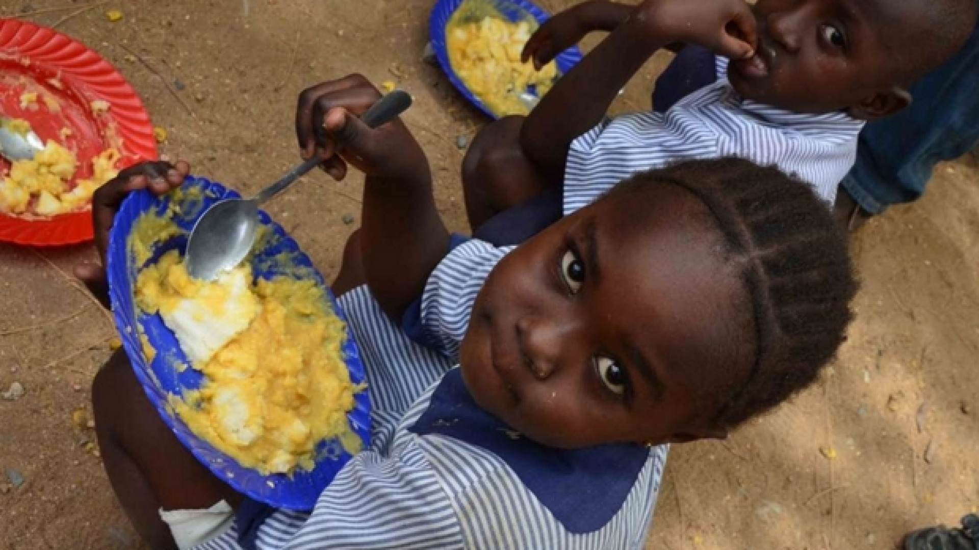 Immagine di Papa alla Fao: fame nel mondo per inerzia di molti
