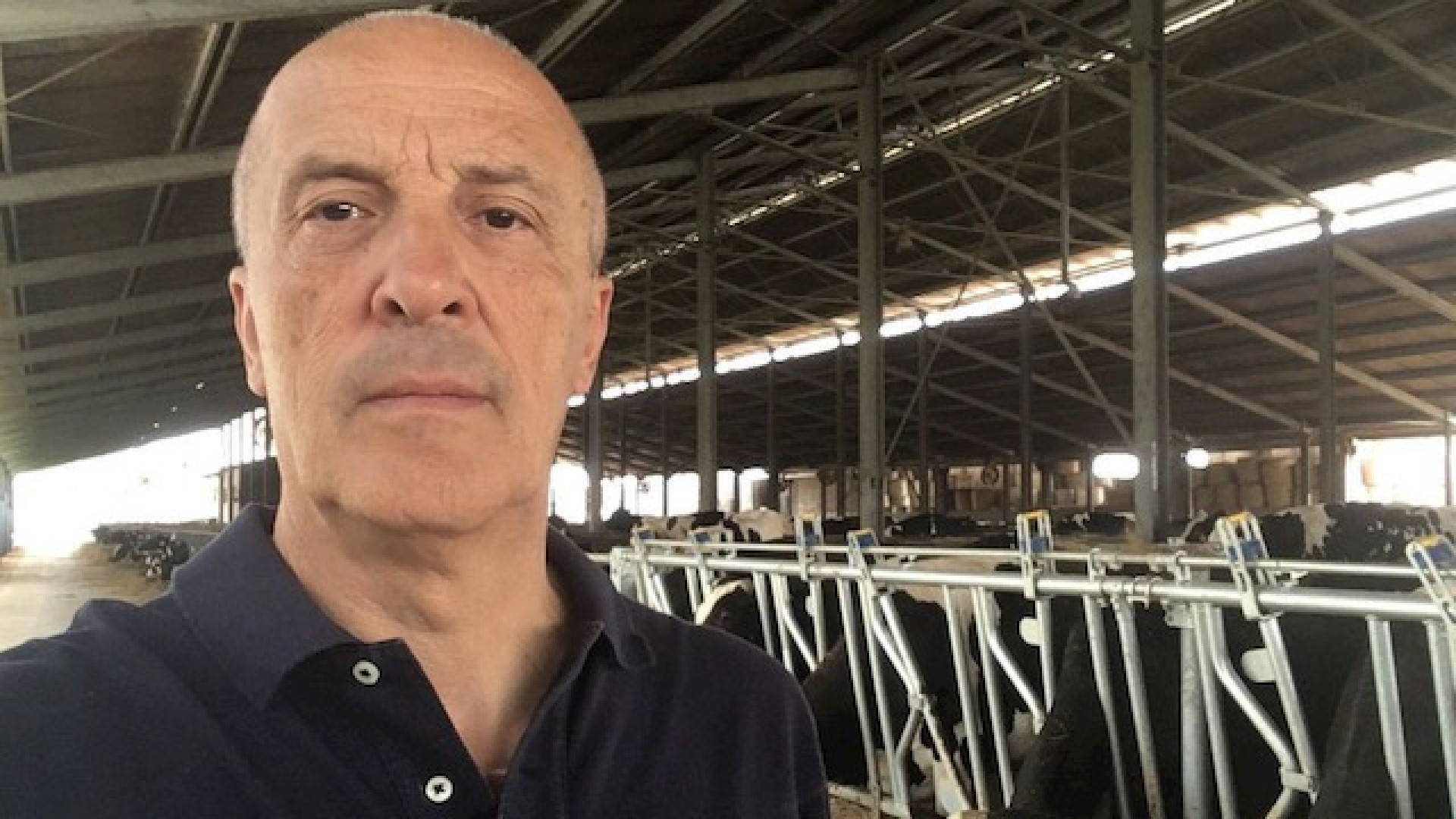 Immagine di «L’animale è al centro di tutto»