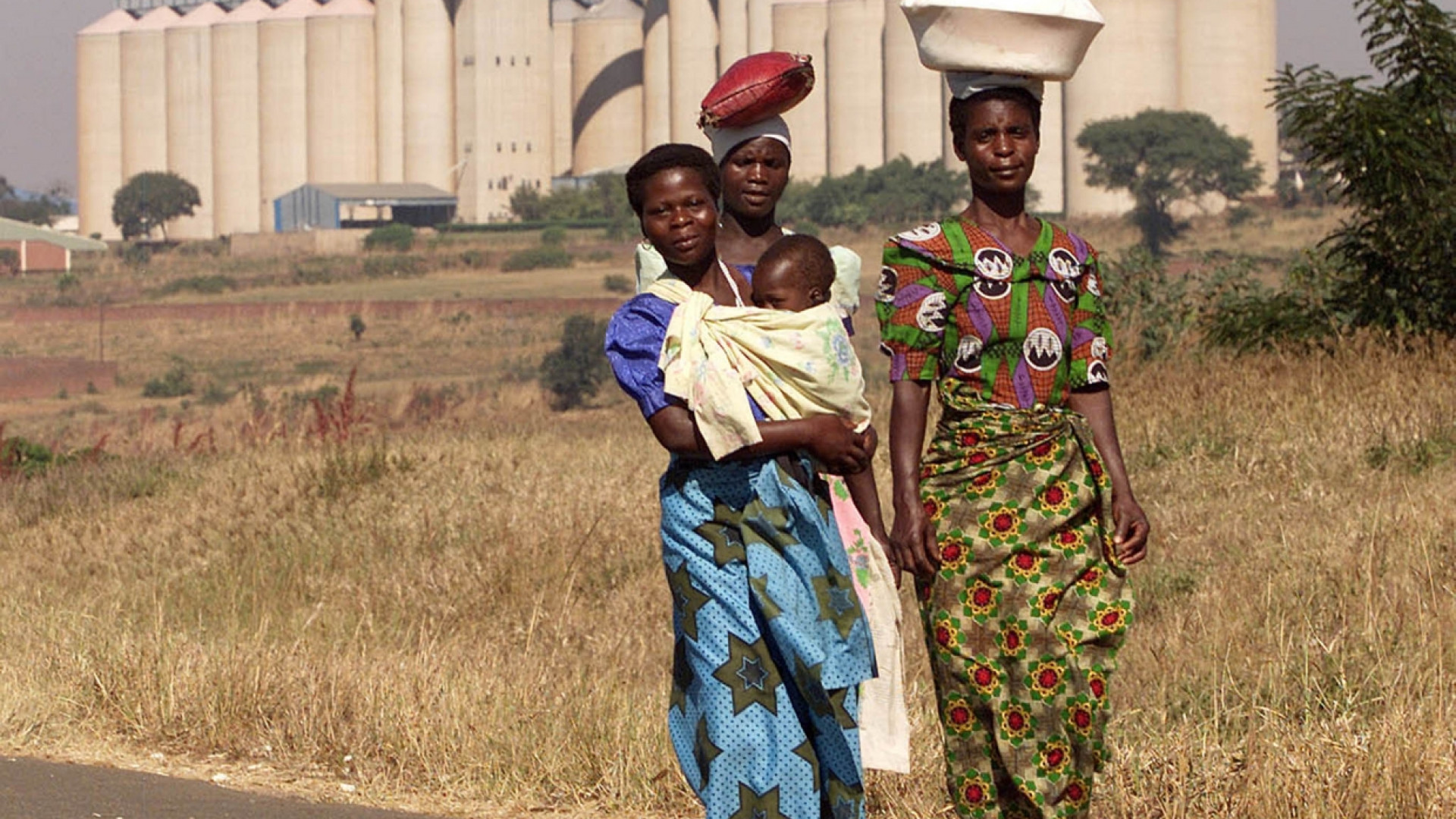 Immagine di Il Piano Marshall per l'Africa: eppur l'idea italiana si muove