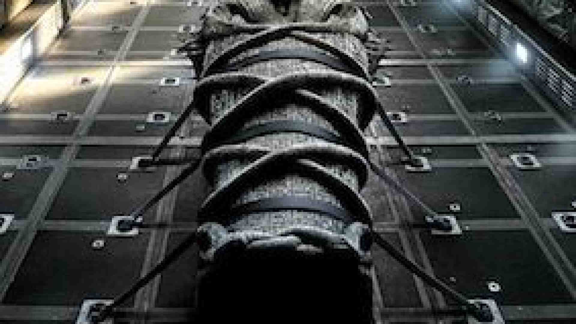 Immagine di L’eterno ritorno degli antichi Egizi