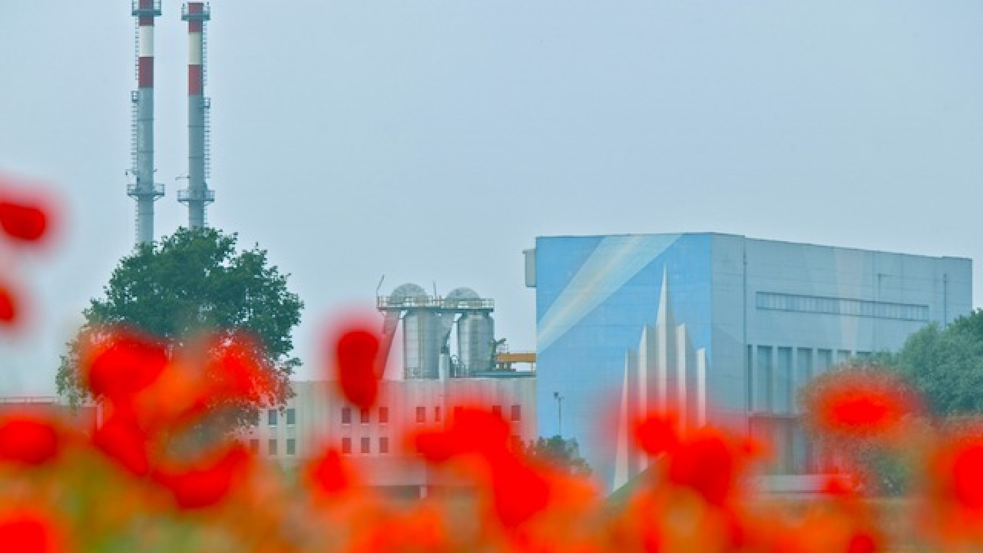 Immagine di Spegnere il termovalorizzatore nel 2024: su quali basi?