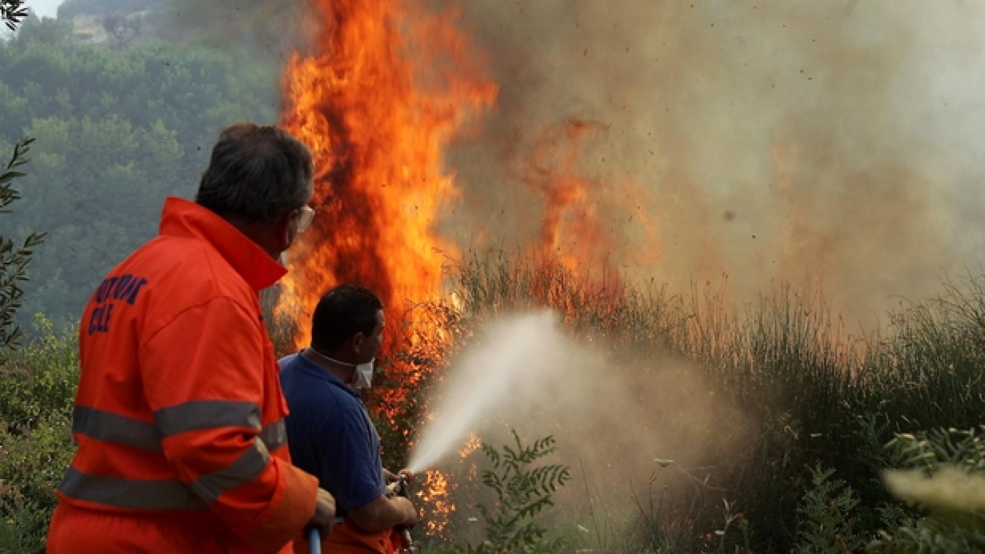 Immagine di La Sila brucia, ipotesi roghi dolosi: sospetti su aziende forestali