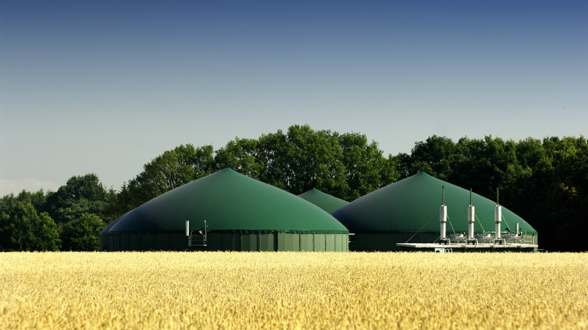 Immagine di Danio Federici (Pieve Ecoenergia): «La produzione di biogas ci permette di investire e fare crescere l’azienda»