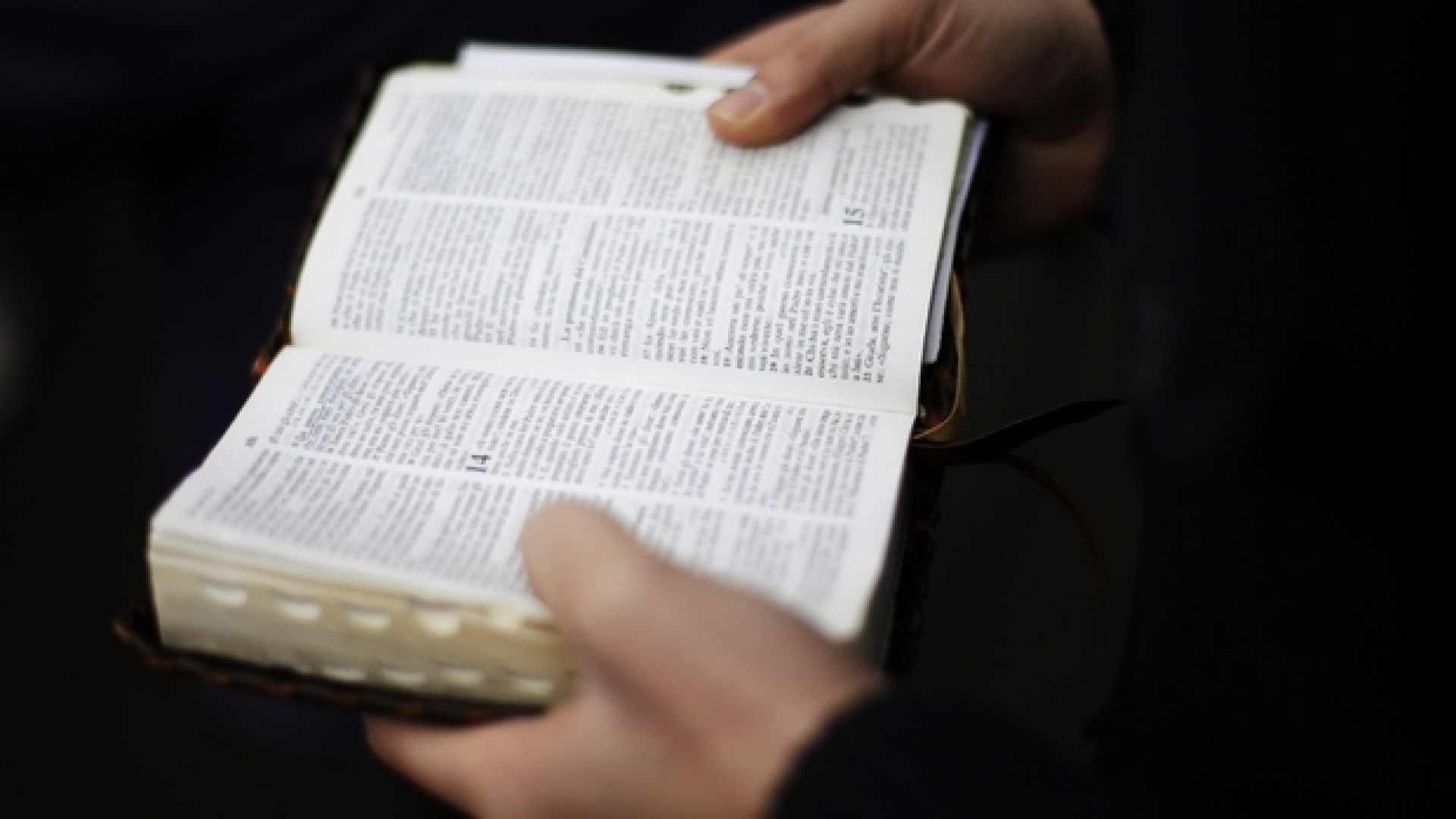 Immagine di Bibbia, autentica avanguardia umanistica