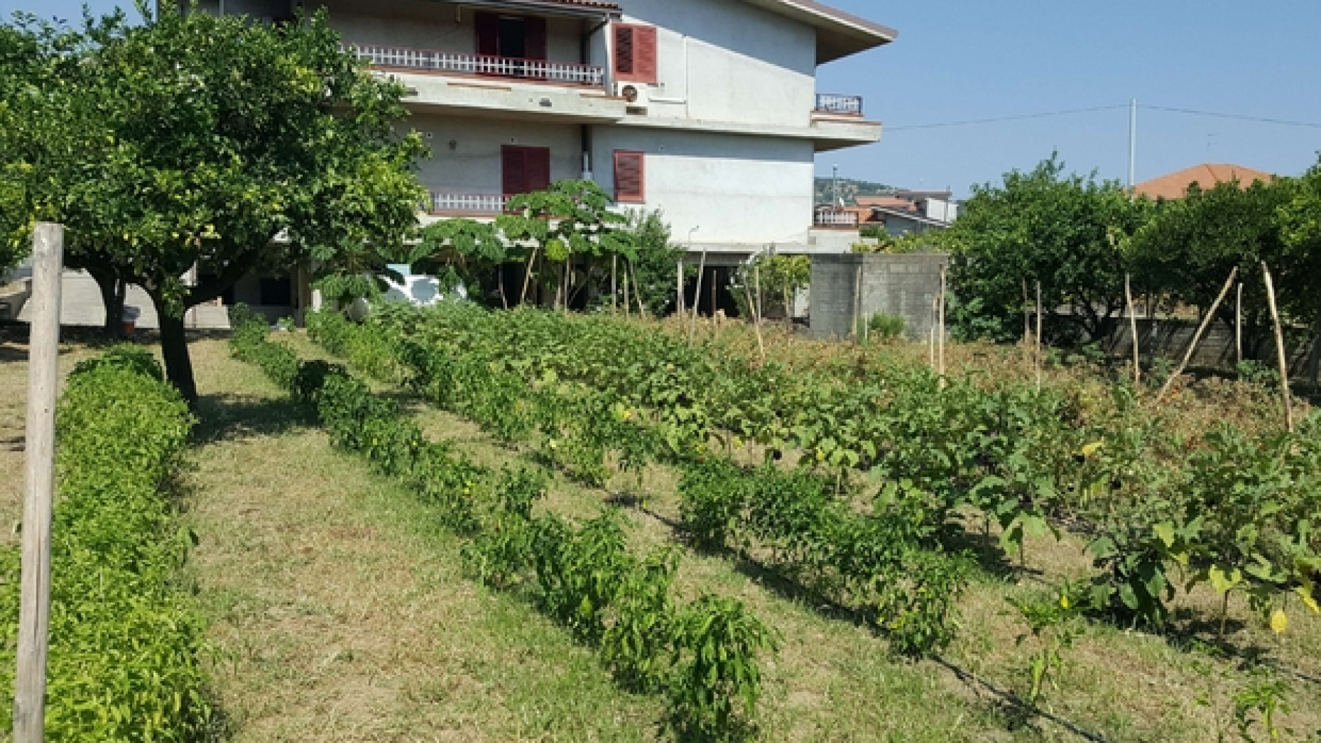 Immagine di Nella casa del killer i giovani fanno tornare la vita