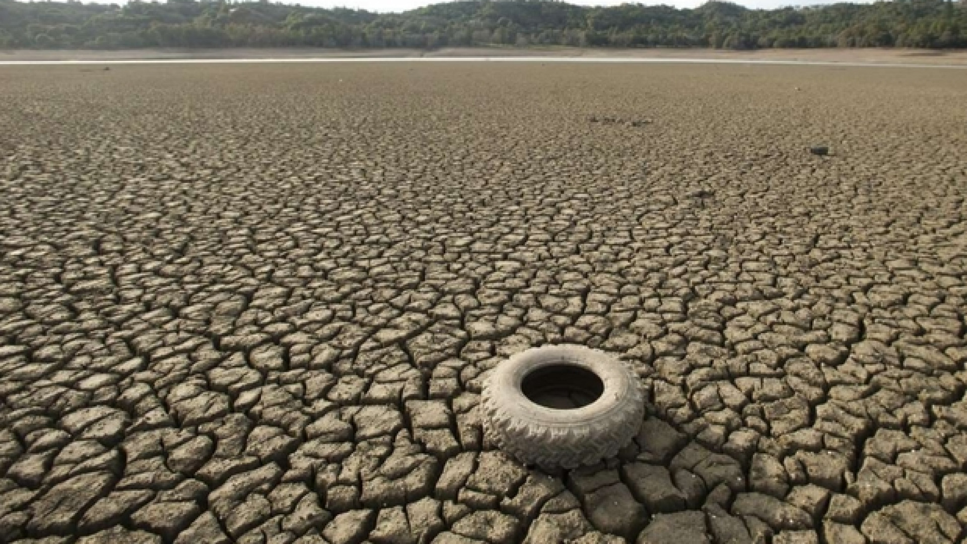 Immagine di Migrazioni, dati solidi e occhi sui bambini