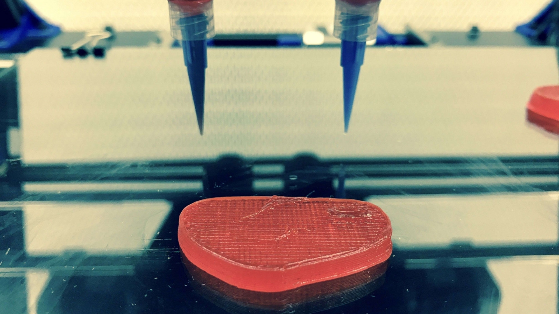 Immagine di In Spagna un ricercatore italiano crea la bistecca stampata in 3D