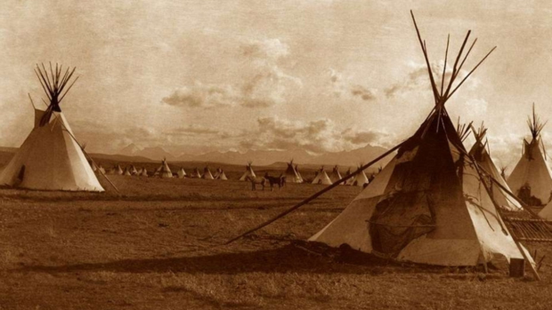 Immagine di Il calumet tradito: il genocidio dei nativi americani
