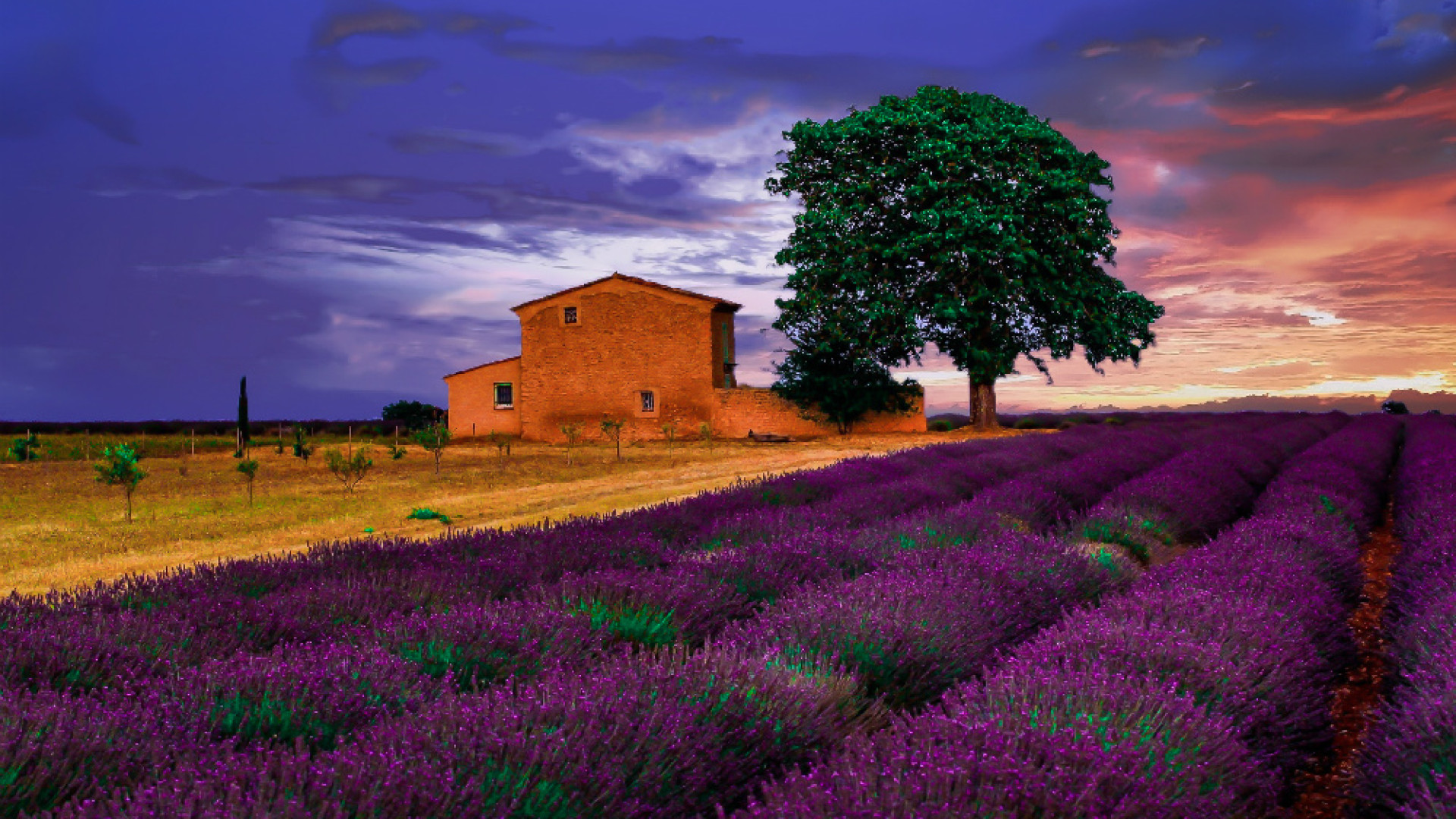 Immagine di Colori ed emozioni dal mondo negli scatti di Daniele Bonaglia