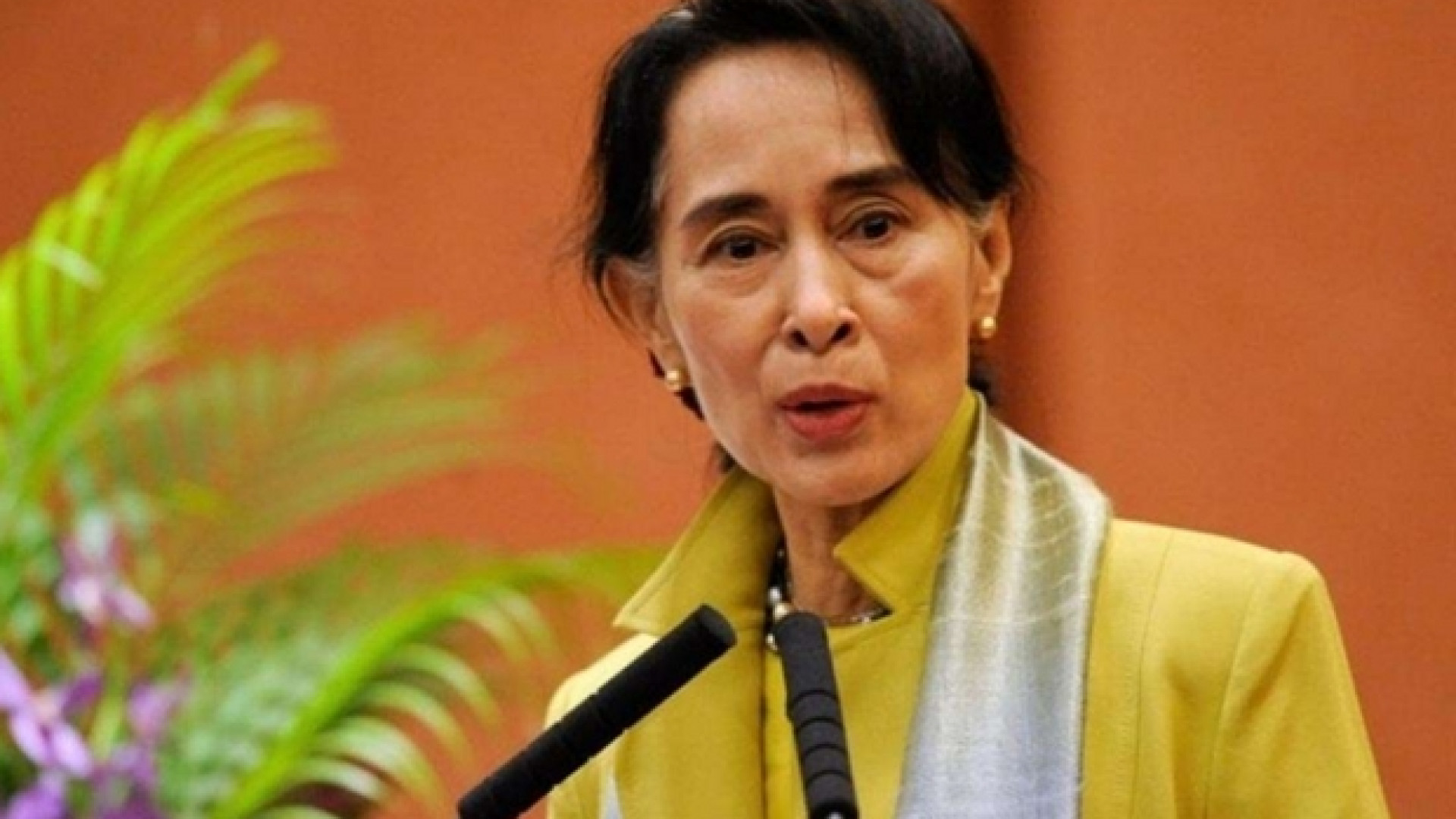 Immagine di Il sentiero stretto di Aung San Suu Kyi