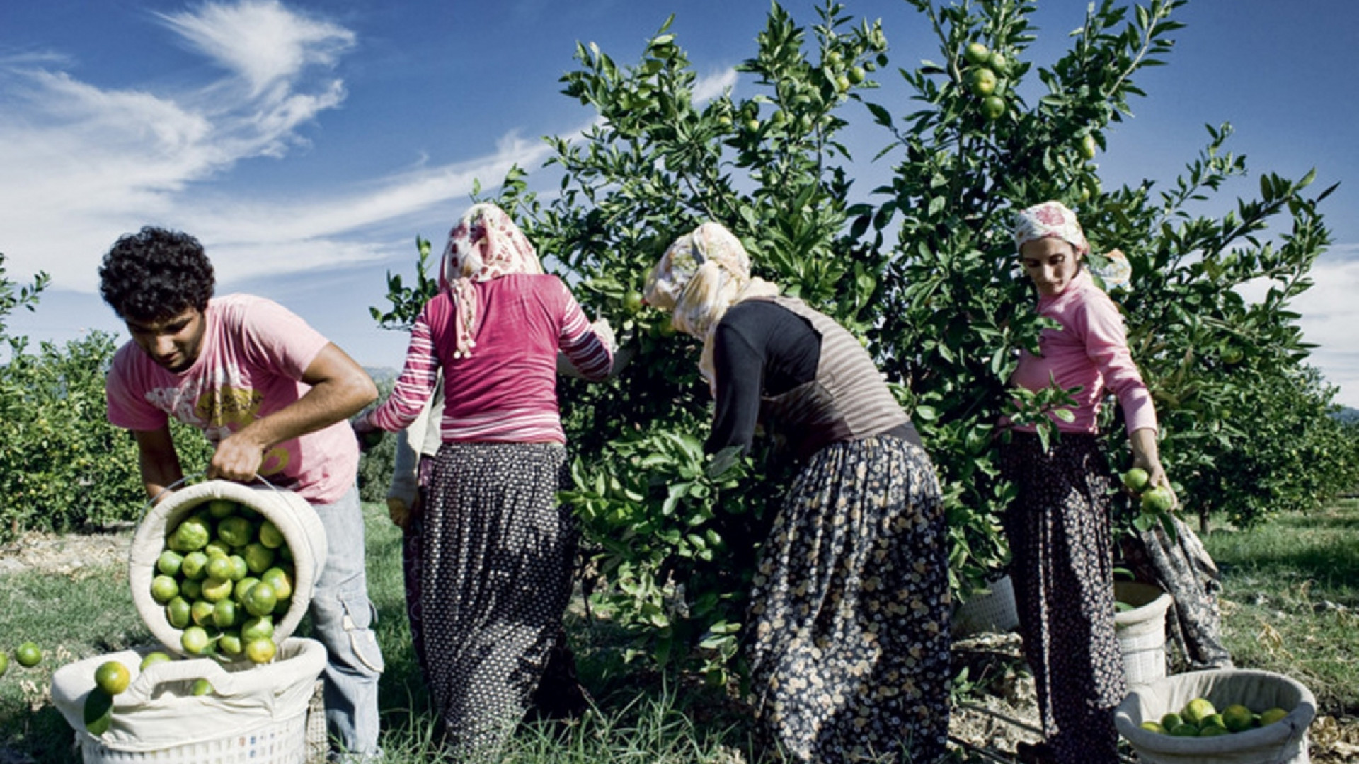 Immagine di Turchia, niente scuola: nei campi a lavorare