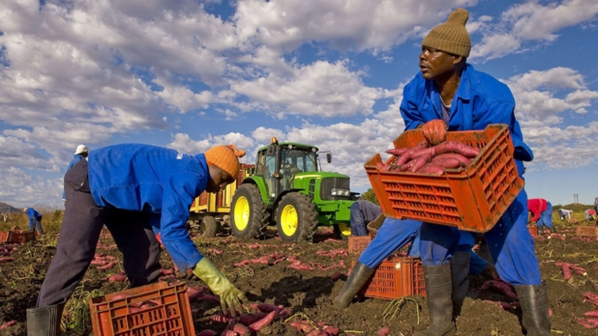 Immagine di «Per gli immigrati non c'è lavoro» Ma economia e demografia dicono di sì