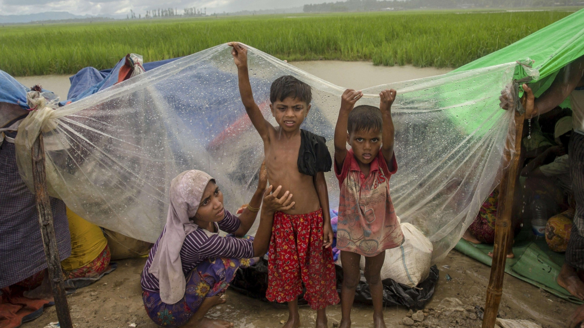 Immagine di Amnesty denuncia: sui Rohingya crimini contro l'umanità