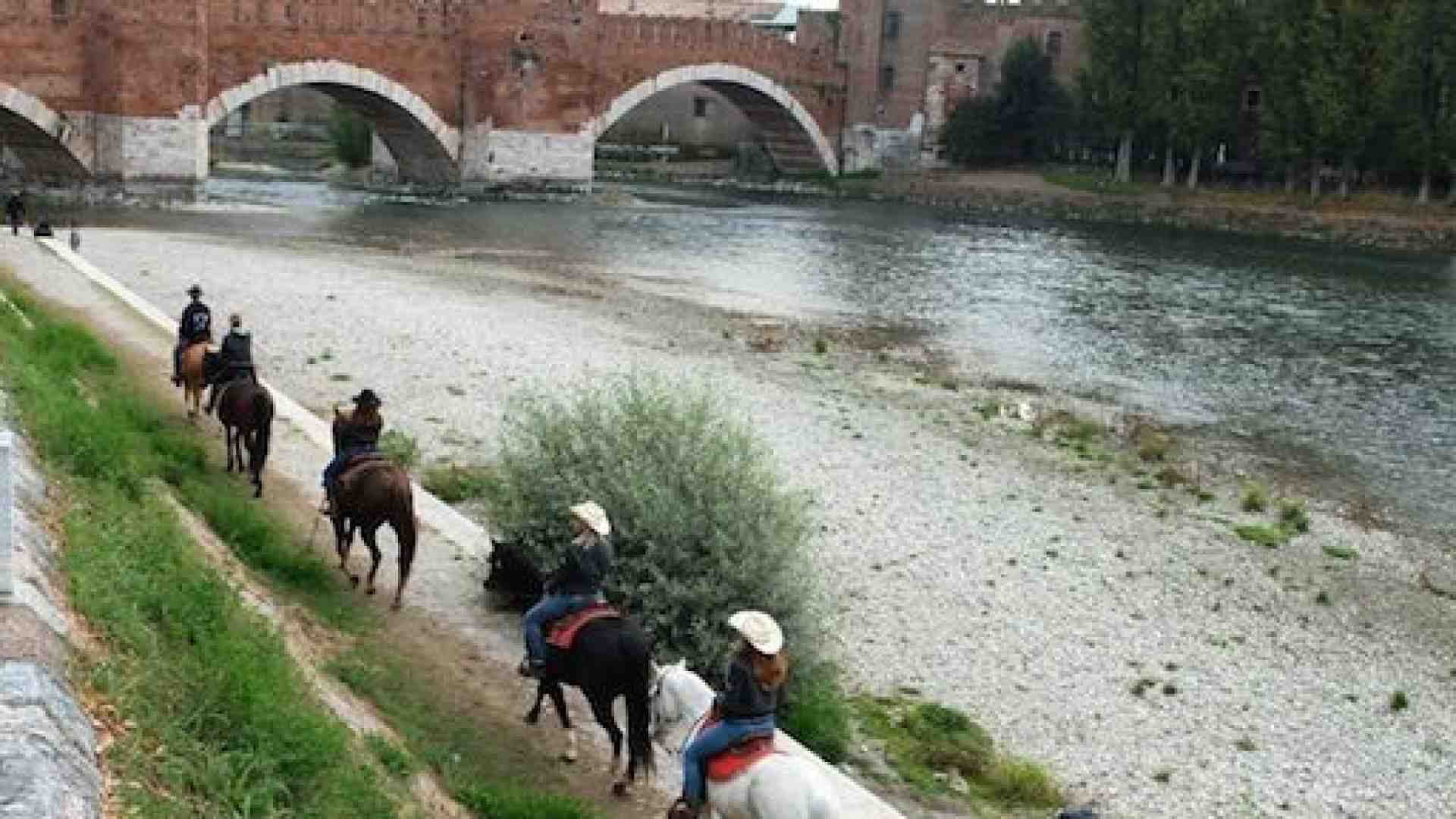 Immagine di Inaugurata la prima ippostrada urbana
