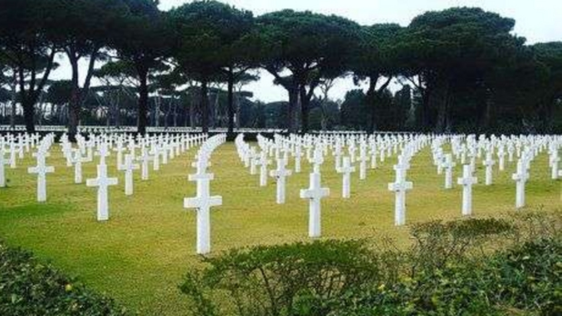 Immagine di Il Papa al cimitero americano e alle Fosse Ardeatine