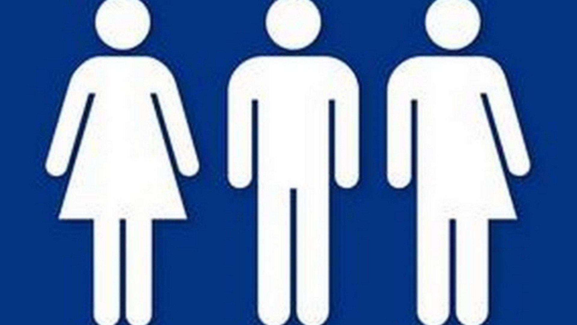 Immagine di La Corte costituzionale tedesca chiede di riconoscere il «terzo sesso»