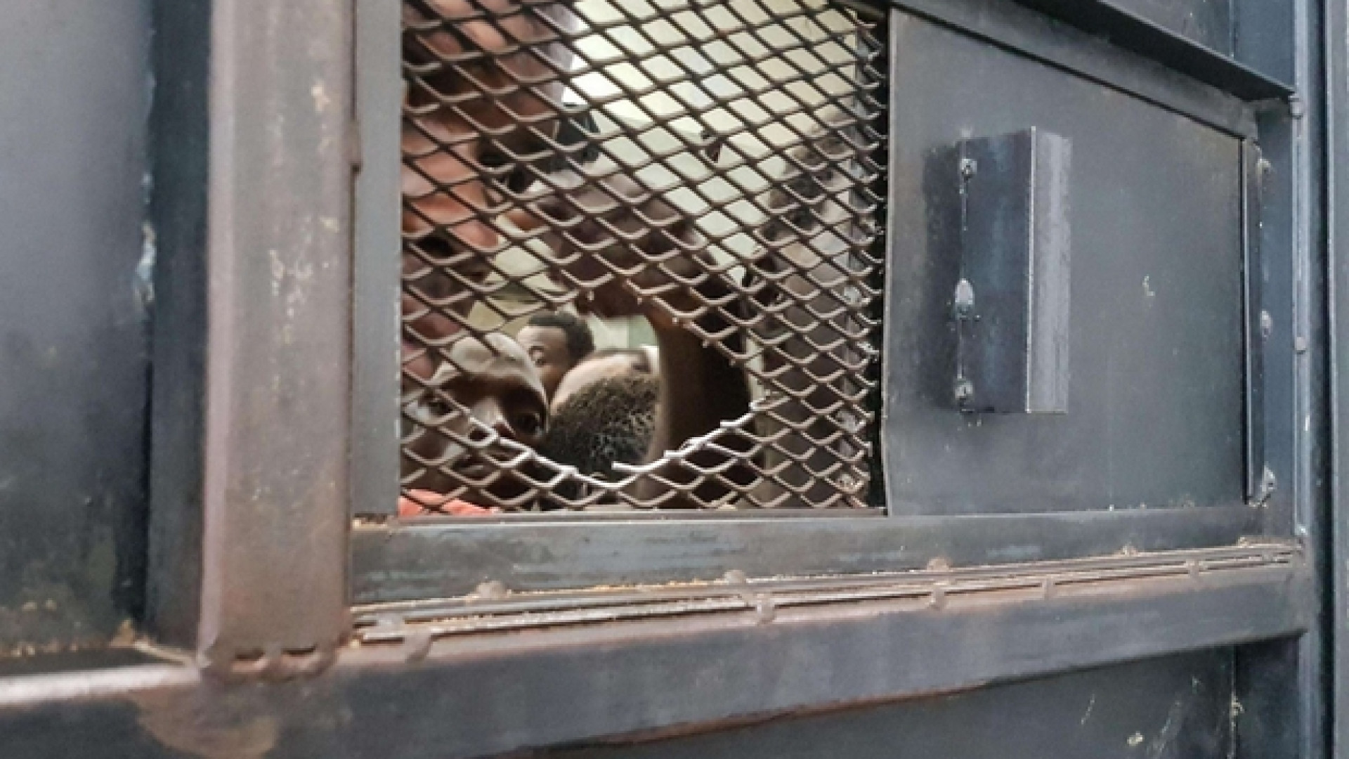 Immagine di Libia, fuori controllo i centri di accoglienza (o «detenzione») per migranti